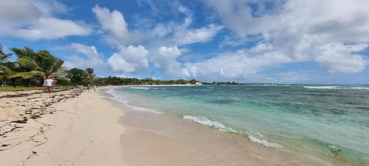 Lejlighed Superbe Studio Laya Vue Mer Belle-Allée Guadeloupe